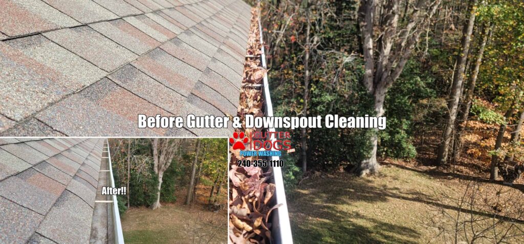 PG County MD gutter cleaning service