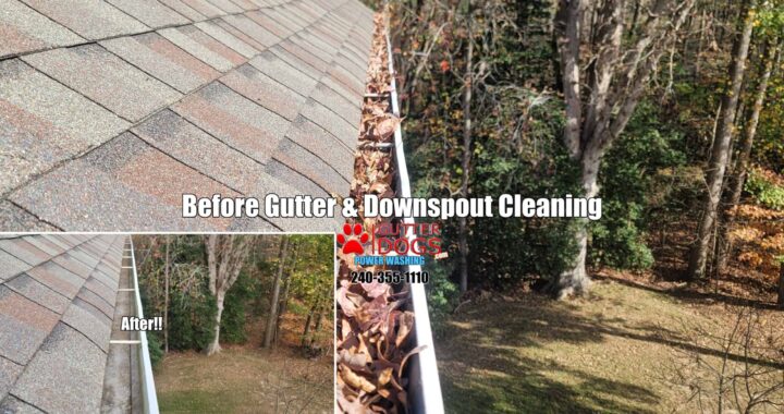 PG County MD gutter cleaning service