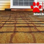 PG County MD gutter cleaning service