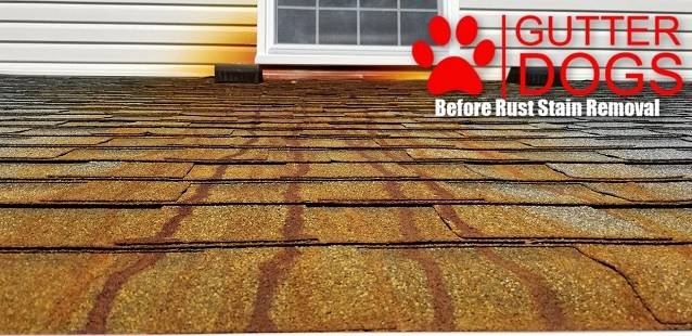 PG County MD gutter cleaning service