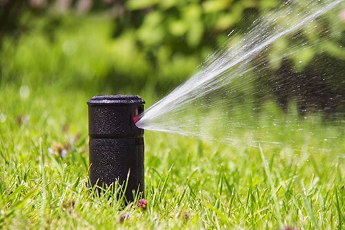 Sprinkler