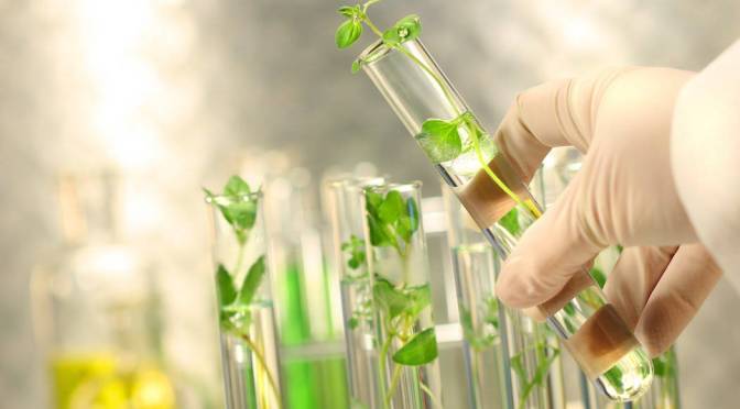 China Tissue Culture