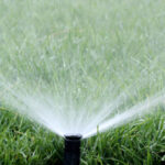 irrigation pipe